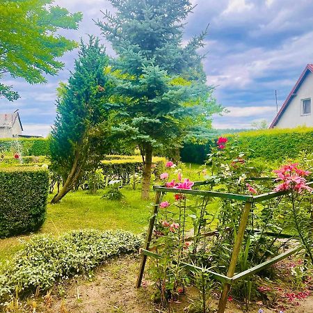 Agroturystyka Szerokopas Nidzica Exteriér fotografie